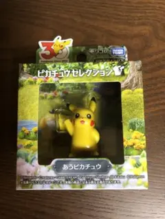 ポケモン30周年記念 モンコレ ピカチュウセレクション あうピカチュウのサムネイル