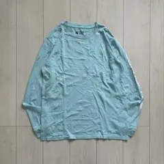 Carhartt 袖ロゴ ロンTのサムネイル