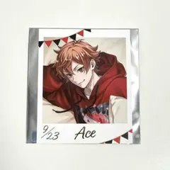 ツイステ フォト風カードコレクション くつろぎマイルームver. エース