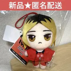 ハイキュー ぷちぬいぐるみ マスコット 孤爪研磨