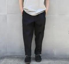 MODESTY × Dickies 34 2タック　パンツ コラボ　別注のサムネイル
