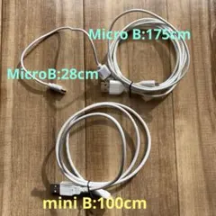 mini USB Type-B & Micro USB Type-Bセット