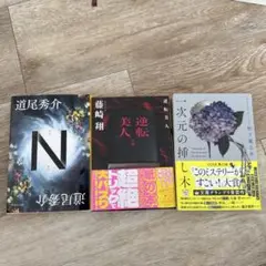 N 逆転美人 一次元の挿し木　3冊セット