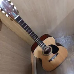 Nardan ナルダン LG-1モデル？ オール楓系ボディ NF-60 Nardan ナルダン LG-1モデル？ オール楓系ボディ NF-60