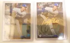 Item thumbnail for item 8b8dcbe8-96ce-4413-a829-02cc98f139b5