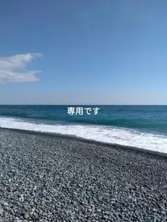 あやっぺ様専用