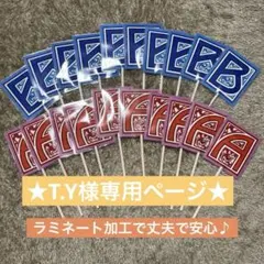 【T.Y様専用ページ】　12組分