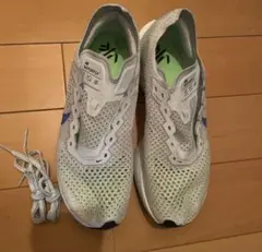 ナイキ ヴェイパーフライ3 25cm