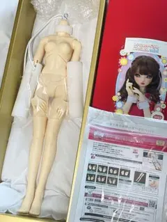 未使用 SDGr ボディ ミナ フェア肌 ボークス オーナー限定販売商品案内 