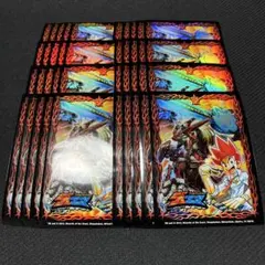 ガイアールオウドラゴン スリーブ 42枚 - メルカリ