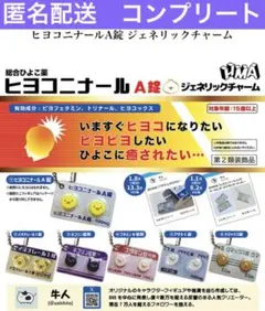 ヒヨコニナールA錠 ジェネリックチャーム　６種コンプリート②