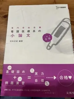 Item thumbnail for item 31aaca29-c741-4e2b-ae5c-2736b533ef53