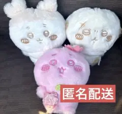 ちいかわ ぬいぱれっと ぬいぐるみ マスコット 古本屋 ラッコ