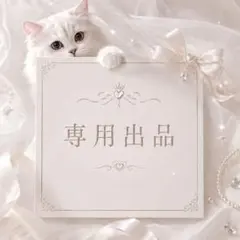 専用 セットアップ