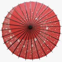 和傘 番傘 紙傘 踊り傘 日傘 舞踊小物 桜吹雪 和風日傘 防水 赤 花柄のサムネイル
