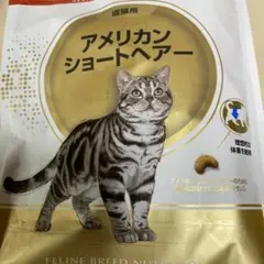 ロイヤルカナン アメリカンショートヘアー 成猫用 2kg