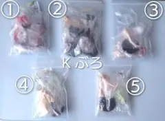 SR セキレイ　全5種セット　★良品　トレーディングフィギュア
