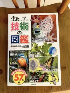 Item thumbnail for item f23eaaa9-43c4-4637-a7ba-c321155b1836