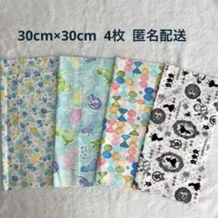 Item thumbnail for item cdba4768-4155-48f1-b07e-be6d6a6b71d4