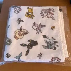 イーブイ⭐︎タオルセット 楽天市場】ポケモン フェイスタオル キャラクター 2枚 セット