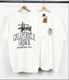 d*7様 STUSSY tシャツ