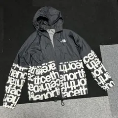 THE NORTH FACE マウンテンパーカー サイズLのサムネイル