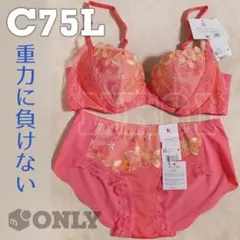 C75Lセット　重力に負けないバストケアBra
