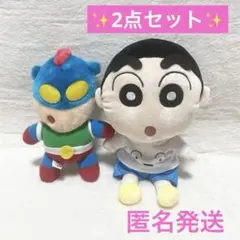 ⭐️クレヨンしんちゃん⭐️シロ着ぐるみ コスプレ大作戦 アクション仮面