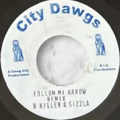 レゲエ Follow Mi Arrow RMX B Killer Sizzla
