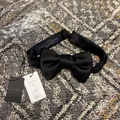 Item thumbnail for item ef0eac9b-b3c6-496f-8980-527ed6c73c63