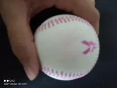 2025年最新】マイクトラウト サインの人気アイテム - メルカリ