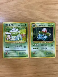 ポケモンカード　旧裏　フシギダネ　フシギソウ