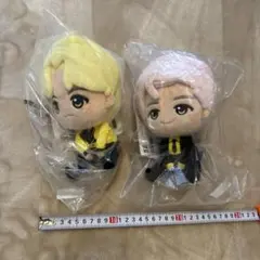 Item thumbnail for item e2fabc7a-448e-409d-854f-311b2142ddc1