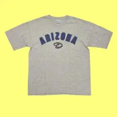USA製 90's アリゾナダイアモンドバックス XL 古着 ゲームシャツ 古着 90～00年代 マジェスティック majestic MLB ARIZONA