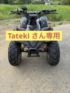 中華バギーATV ミニカー登録済 保安部品完備 前後1速ギア - メルカリ