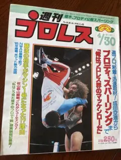 【超激レア】NIKE ナイキ ジョンマッケンロー ベスト 80s Lサイズ Yahoo!オークション -「ナイキ マッケンロー」の落札相場・落札価格