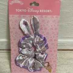 ディズニーランド　バニー　とんすけ　シュシュ