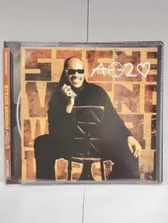 Stevie Wonder / A Time 2 Love 輸入盤CD