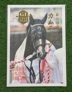【おまとめ値引あり】御駿印　カムニャック　2025　オークス　JRA