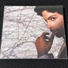 Item thumbnail for item da8553a2-4d5d-4bd2-8d78-f895a49e4106