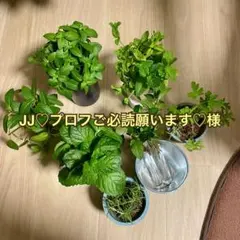 【JJ♡プロフご必読願います♡様専用】　7月18日まで購入しないでください！！のサムネイル