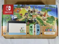 Nintendo Switch あつまれ どうぶつの森セット 本体保護ケース付