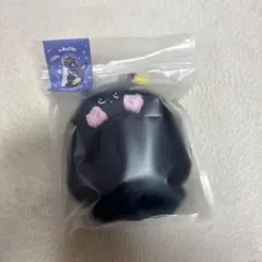 RIIZE ライズ ペンライトケース WONBIN ウォンビン