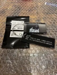 呪術廻戦 ロフト PLAZA トレーディング時系列場面写真 2連アクキー 脹相