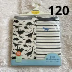 匿名配送　新品未使用　あったか素材　恐竜長袖肌着2枚組 120㎝