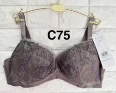 トリンプ　天使のブラ　極上ライトTR599ノンワイヤーブラジャー　ブラウンC75