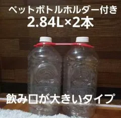 Item thumbnail for item 73cb73ed-796e-4df7-8f64-022e1232f9d7