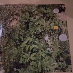 Item thumbnail for item df3aabfe-5e3a-4527-8e2e-8124d433f2cc