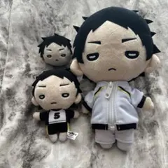 ハイキュー　にとたん　大きい おおきいぬいぐるみ　赤葦京治 ハイキュー にとたん おおきいぬいぐるみ 赤葦京治 赤葦京治