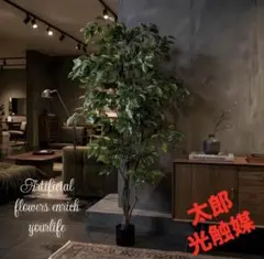 光触媒 人工観葉植物 ウォールグリーン フェイクグリーン シュロチク 